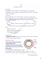 SOLUNUM SİSTEMİ.pdf